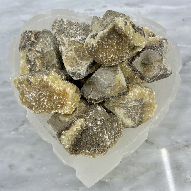 Septarian Jasper (Dragon Stone) Large - Rough Raw Natural