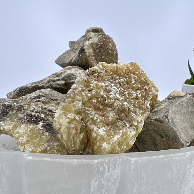 Septarian Jasper (Dragon Stone) Large - Rough Raw Natural