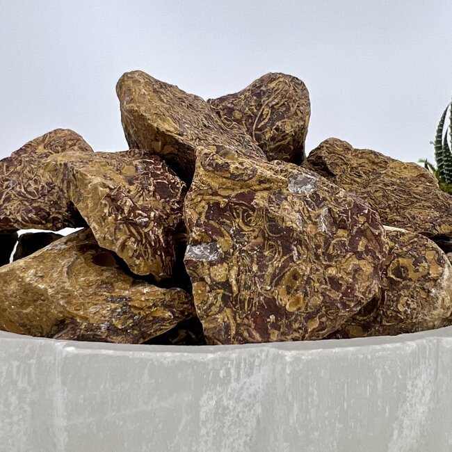 Arabic Miriam Jasper (Calligraphy Script Stone) Large - Rough Raw Natural