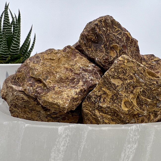 Arabic Miriam Jasper (Calligraphy Script Stone) Large - Rough Raw Natural