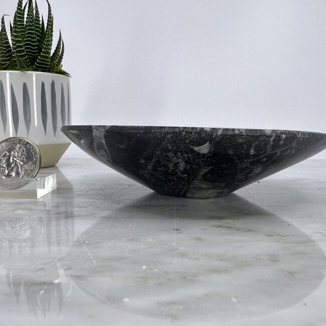 Black Orthoceras (Kuber Stone) Bowl Dish - Fossil 5"