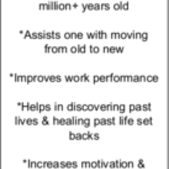 Orthoceras Free Standing Single Medium (8-9") - Fossil Specimen