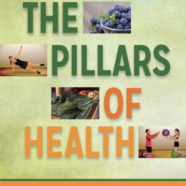 The Pillars of Health Book