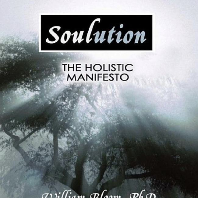 Soulution The Holistic Manifesto Book