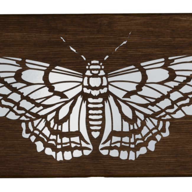 Butterfly-Wall Plaque Foil Accent