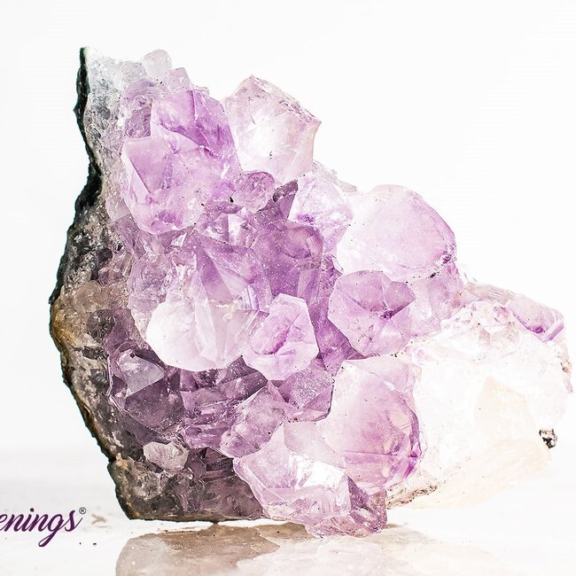 Amethyst Cluster Druzy Medium - Rough Raw Natural