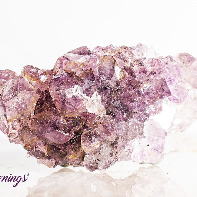 Amethyst Cluster Druzy Medium - Rough Raw Natural