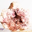 Pink Amethyst Small - Rough Raw Natural
