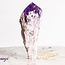 Bahia Amethyst Elestial Root - Rough Raw Natural