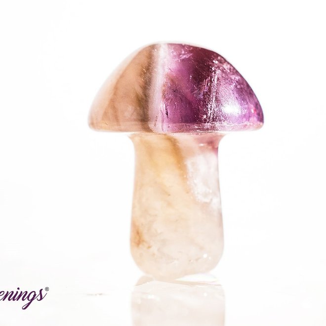 Amethyst Mushroom- Mini