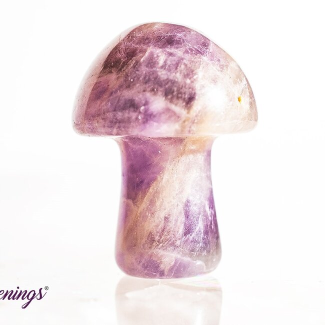 Amethyst Mushrooms - Mini