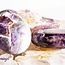 Amethyst Palm Pillow Pocket Stone