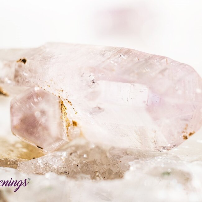 Vera Cruz Amethyst - Point Rough Raw Natural