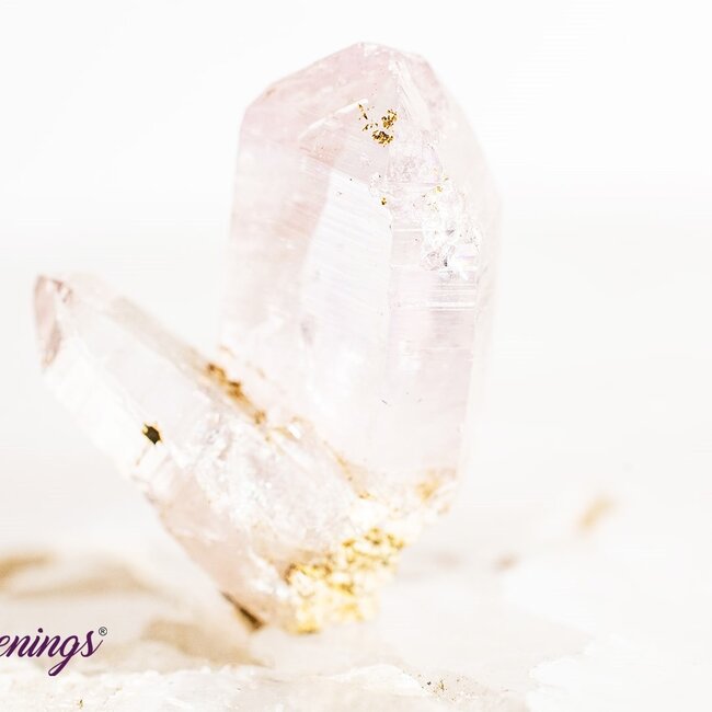Vera Cruz Amethyst - Point Rough Raw Natural