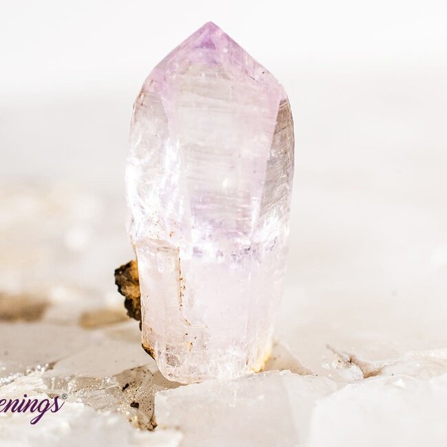 Vera Cruz Amethyst - Point Rough Raw Natural
