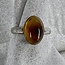 Amber Oval Ring Size 8-Sterling Silver