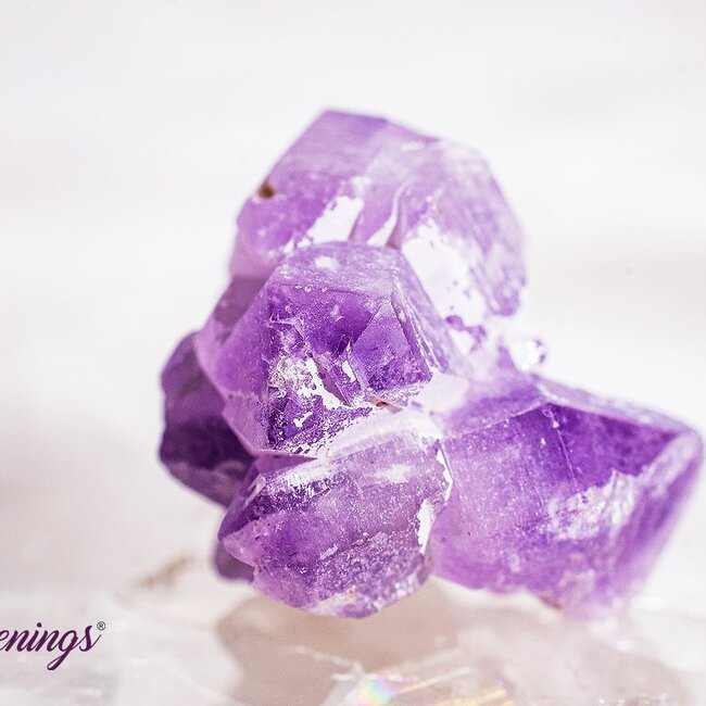 Amethyst Flower Points - Cluster Small Rough Raw Natural