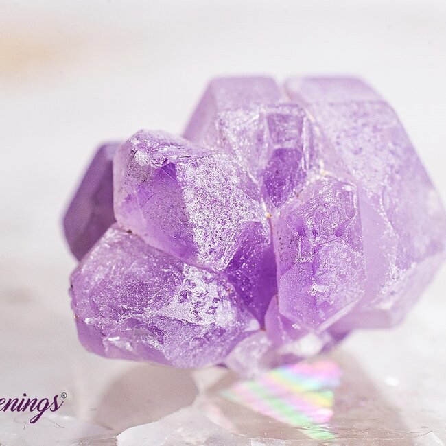Amethyst Flower Point-Cluster Small