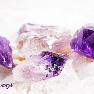 Amethyst Point (Dragons Tooth Teeth Root) - Small Rough Raw Natural