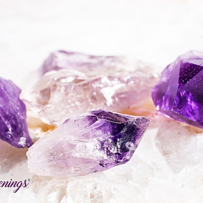 Amethyst Point (Dragons Tooth Teeth Root) - Small Rough Raw Natural