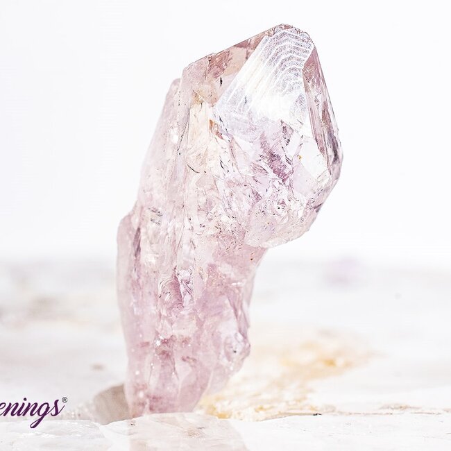 Amethyst Point (Dragons Tooth Teeth Root) - Small Rough Raw Natural