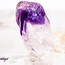 Amethyst Point (Dragons Tooth Teeth Root) - Small Rough Raw Natural