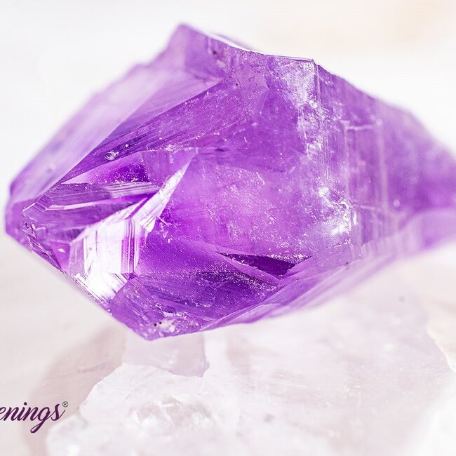 Amethyst Point (Dragons Tooth Teeth Root) - Small Rough Raw Natural