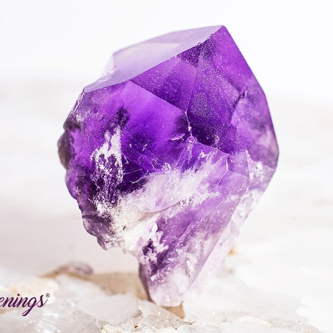 Amethyst Point (Dragons Tooth Teeth Root) - Small Rough Raw Natural