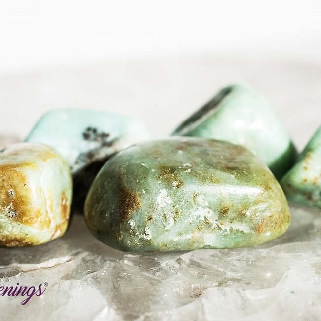 Chrysoprase - Tumbled
