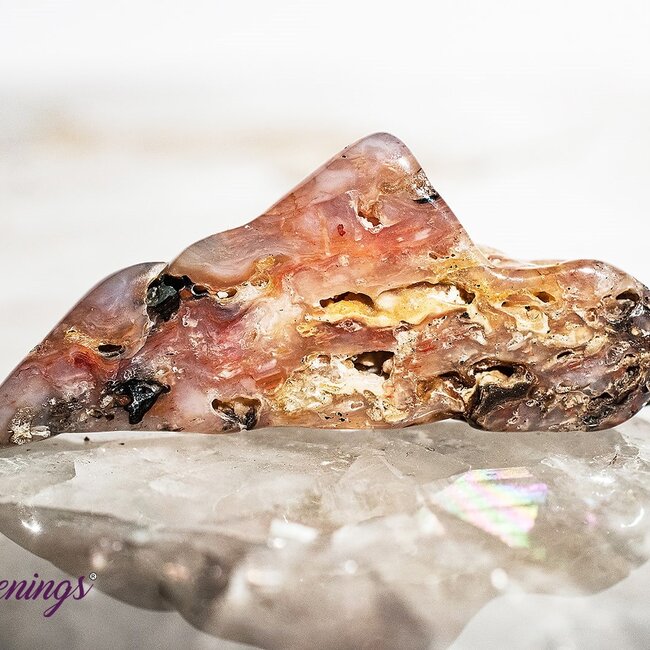 Cinnazez - Lightly Tumbled