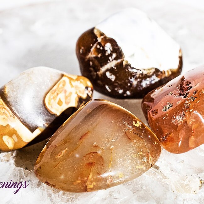 Madagascar Carnelian - Tumbled