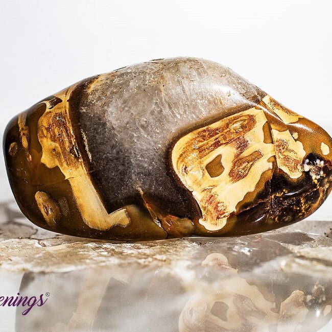 Madagascar Carnelian - Tumbled