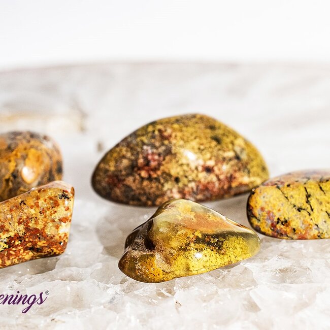 Golden Fire Chalcedony - Tumbled