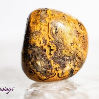 Golden Fire Chalcedony - Tumbled