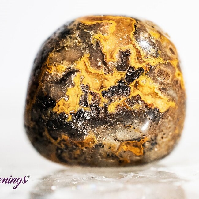 Golden Fire Chalcedony - Tumbled