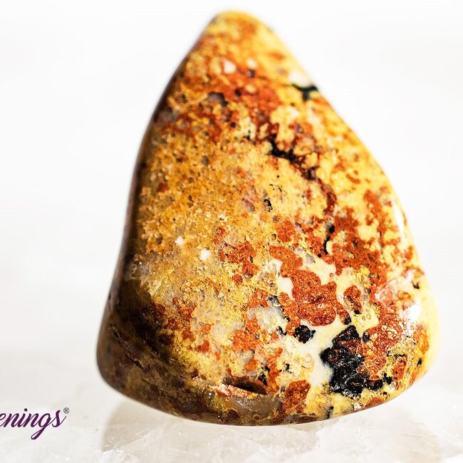 Golden Fire Chalcedony - Tumbled