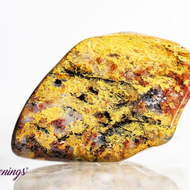 Golden Fire Chalcedony - Tumbled