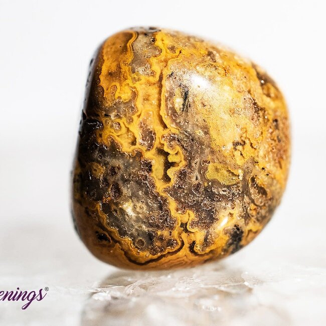 Golden Fire Chalcedony - Tumbled