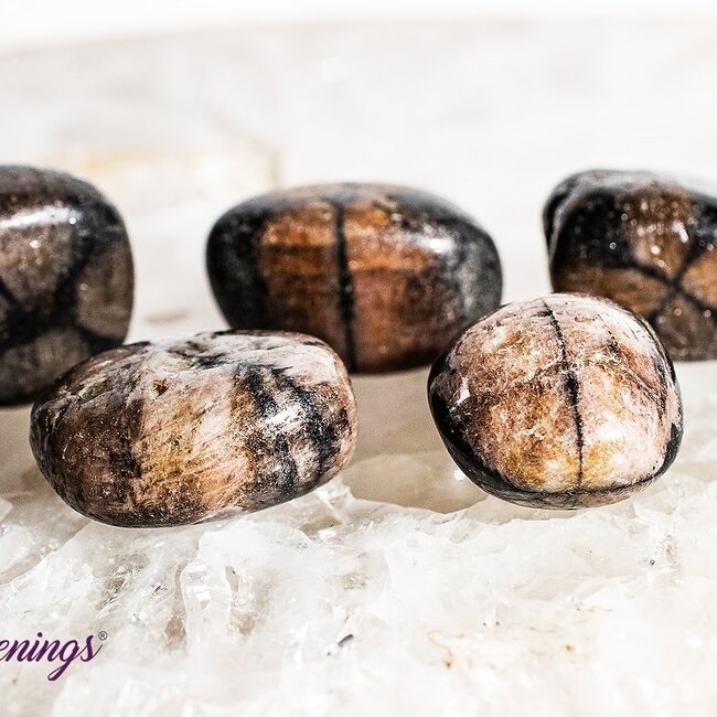 Chiastolite - Tumbled Andalusite