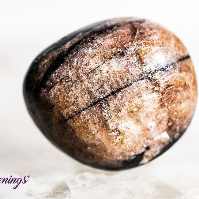 Chiastolite - Tumbled Andalusite