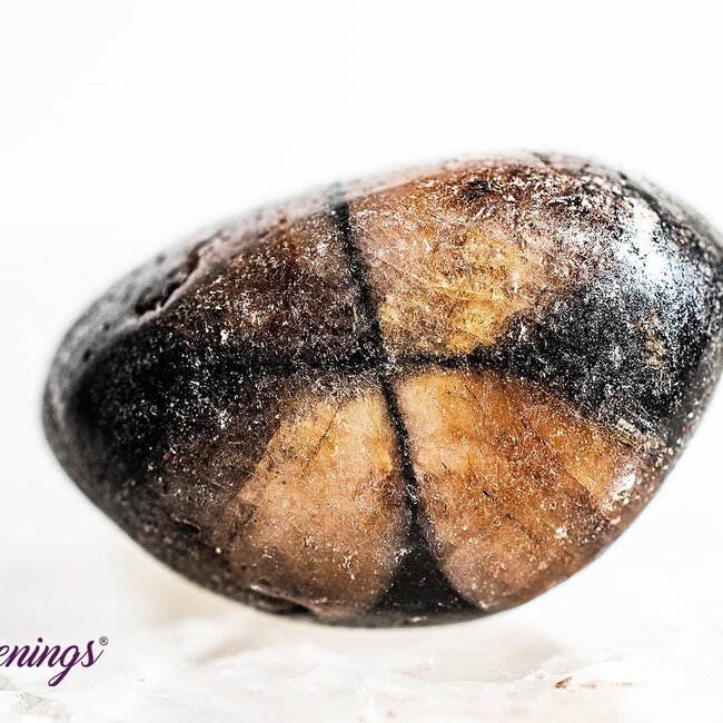 Chiastolite - Tumbled Andalusite