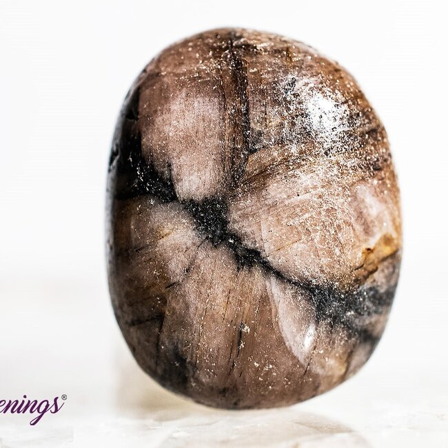 Chiastolite - Tumbled Andalusite