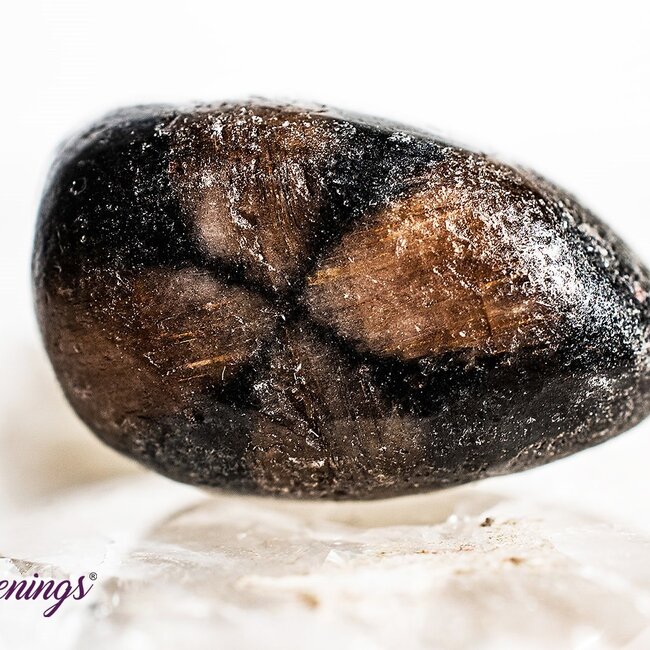 Chiastolite - Tumbled Andalusite