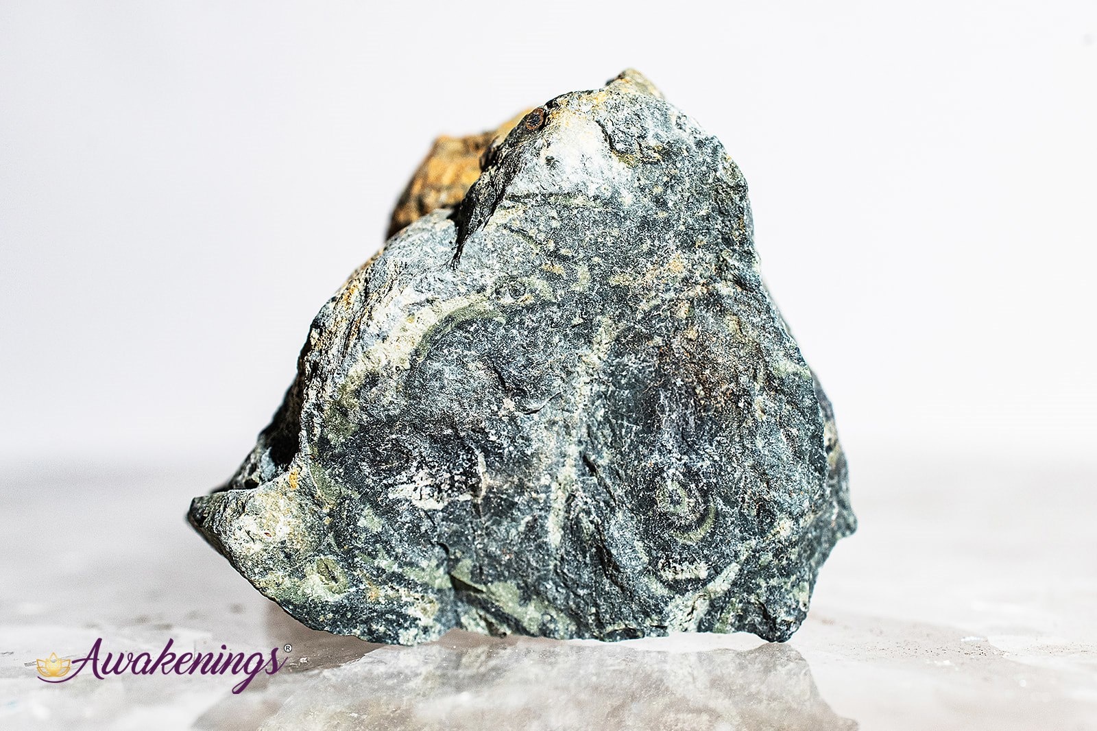 crocodile-kambaba-jasper-green