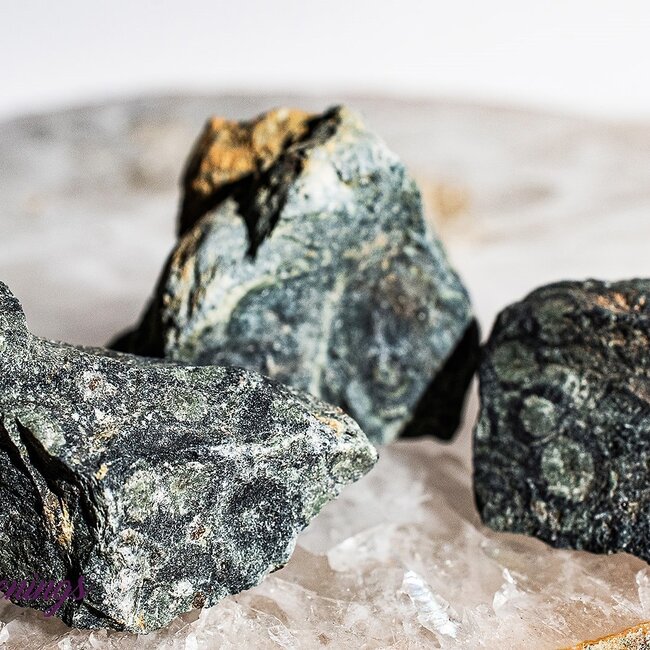 Crocodile (Kambaba) Jasper (Green Stromatolite) Rough Raw Natural