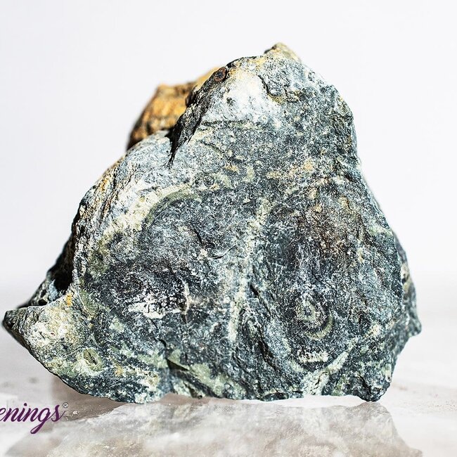 Crocodile (Kambaba) Jasper (Green Stromatolite) Rough Raw Natural