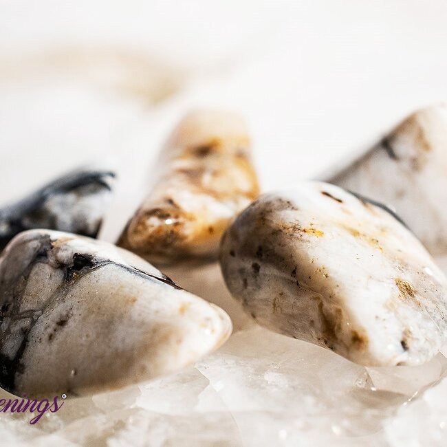 Cataclasite Impact Stone