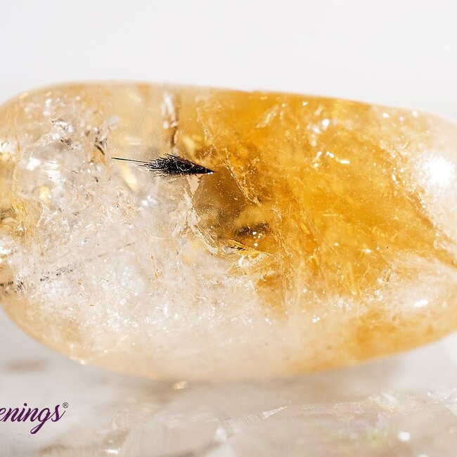 Citrine & Cacoxenite - Tumbled