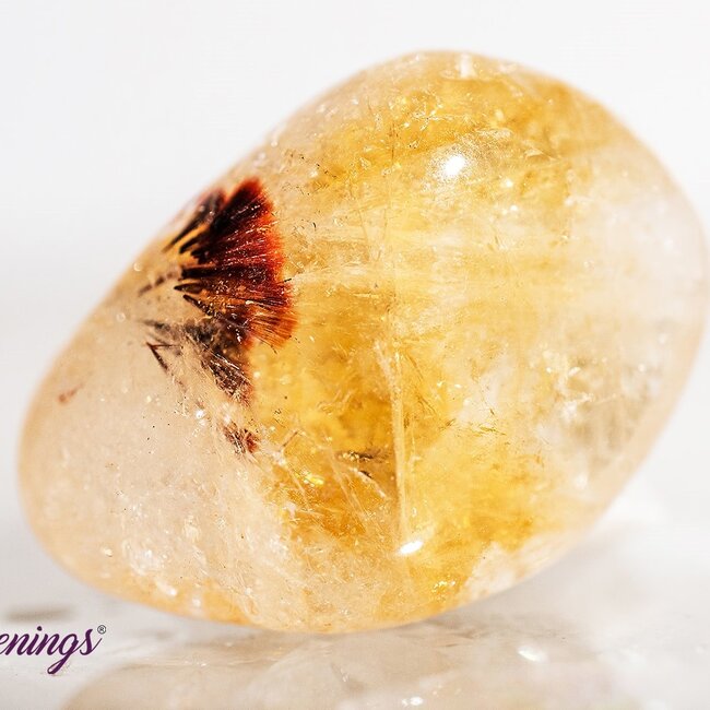 Citrine & Cacoxenite - Tumbled