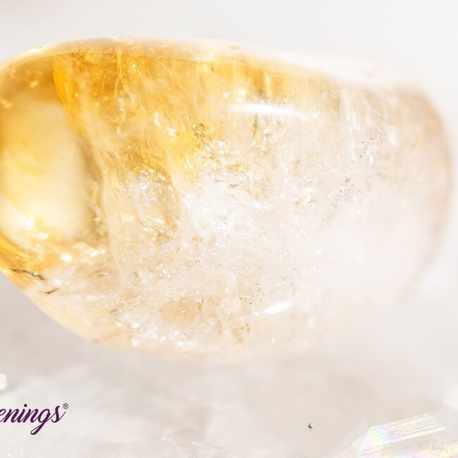 Citrine & Cacoxenite - Tumbled